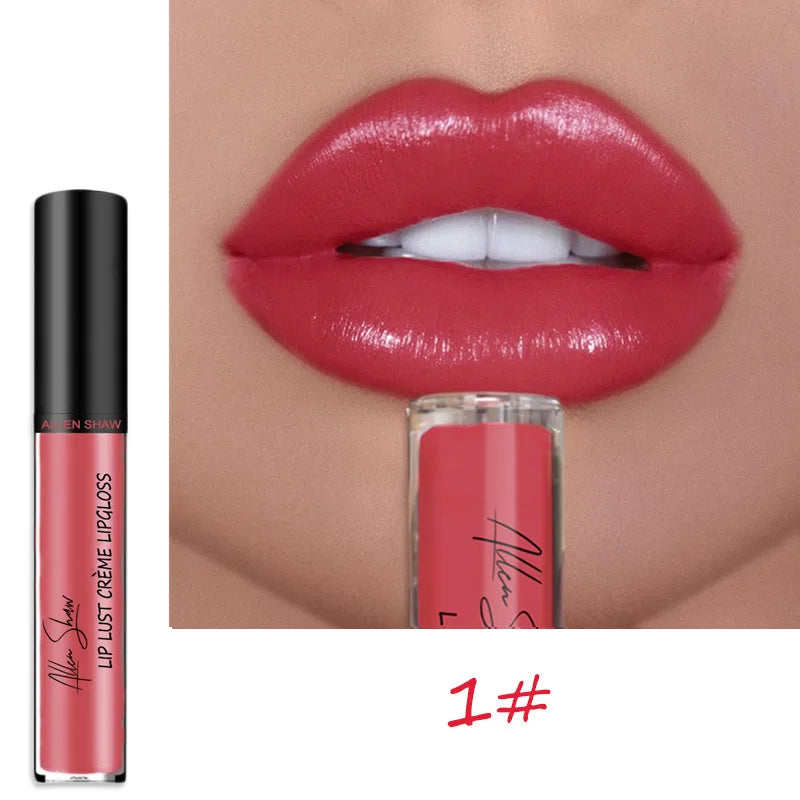 Long Lasting Moisturizing Lip Gloss