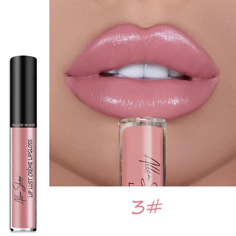 Long Lasting Moisturizing Lip Gloss